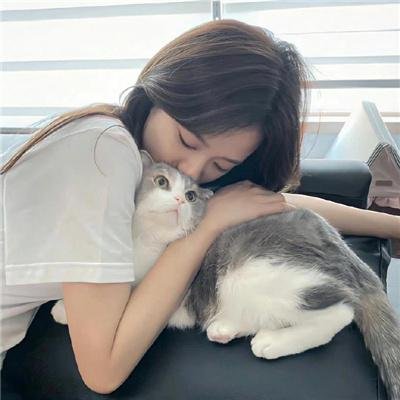 三个老友