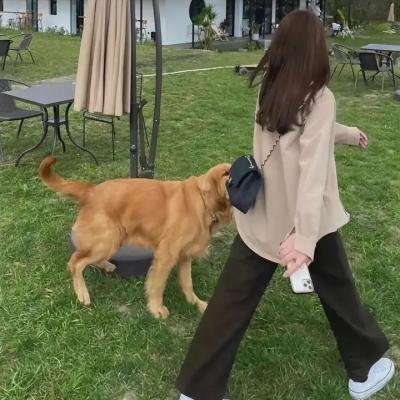 狙魔女杰第一季